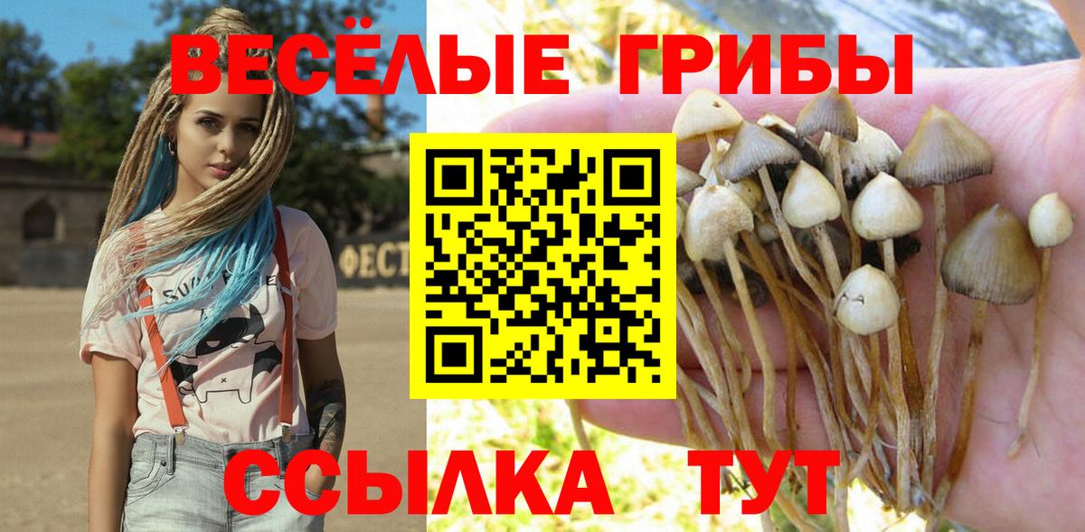 Псилоцибиновые грибы Psilocybine cubensis Нижневартовск