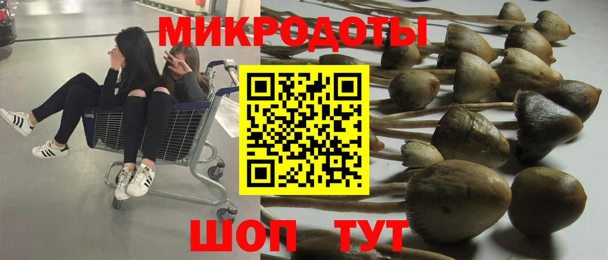 Нижневартовск  Галлюциногенные грибы мицелий  Псилоцибиновые грибы прущие грибы  Вход с VPN 