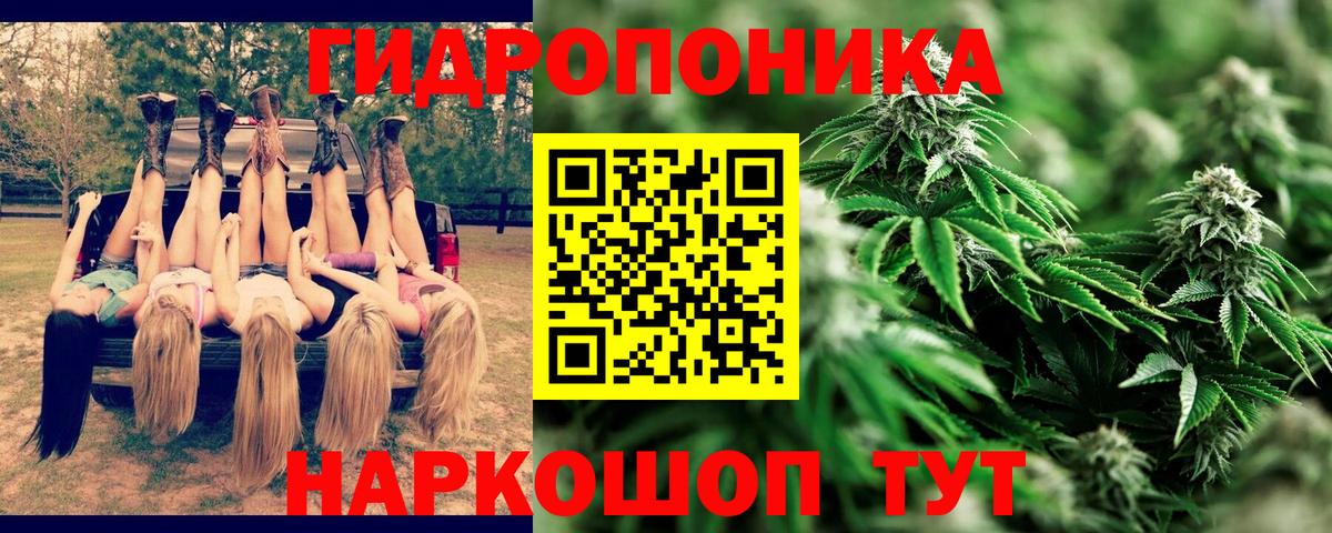 МАРИХУАНА White Widow Нижневартовск